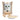 Kit Cat Petite Pouch 70g – Classic Chicken